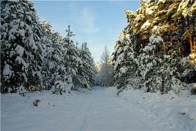萌蟹类魂游戏《蟹蟹寻宝奇遇》发布最新中文宣传片 年内发售