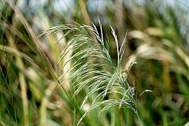 《丁丁历险记：法老的雪茄》PS4版跳票 11月30日发售